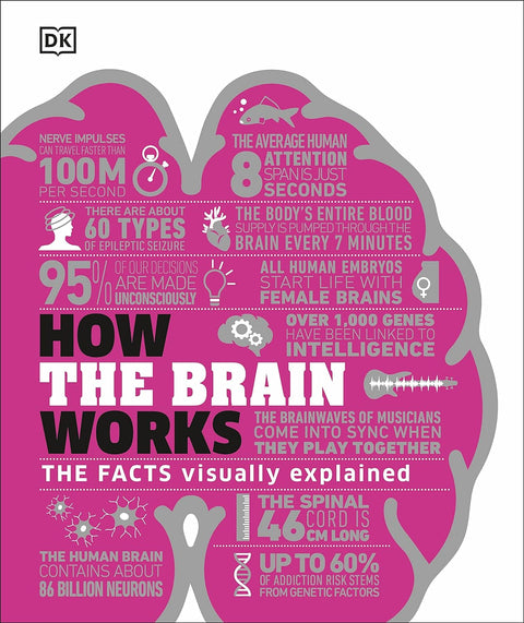How the Brain Works: The Facts Visually Explained - MPHOnline.com