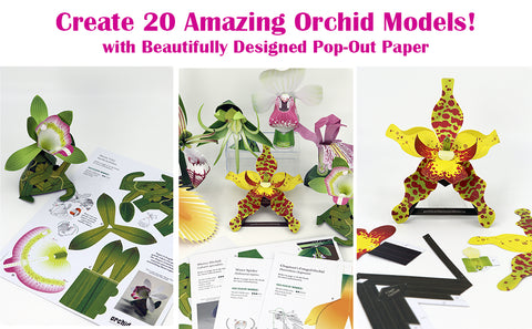Origami Orchids Kit t: 20 Beautiful Die-Cut Paper Models - MPHOnline.com