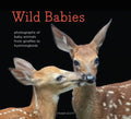 WILD BABIES - MPHOnline.com
