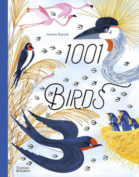 1001 Birds - MPHOnline.com