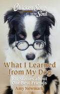 CS for the Soul: What I Learned from My Dog - MPHOnline.com