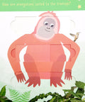 Little Wonders Puzzle Slider Books- Jungle Animals - MPHOnline.com