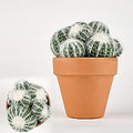 Crocheted Cactuses : 16 Woolly Succulents to Make For Your Home - MPHOnline.com