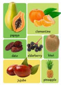 My First 100 Fruits & Vegetables - MPHOnline.com