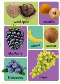 My First 100 Fruits & Vegetables - MPHOnline.com