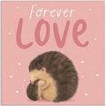 Picture Flats Forever Love - MPHOnline.com