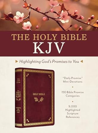 Holy Bible: KJV Highlighting God's Promises to You - Crimson & Gold - MPHOnline.com