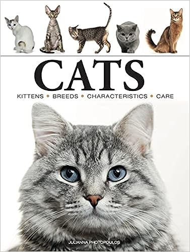 Cats (Mini Encyclopedia) - MPHOnline.com