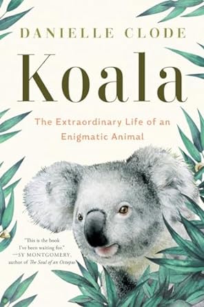 Koala: The Extraordinary Life of an Enigmatic Animal - MPHOnline.com