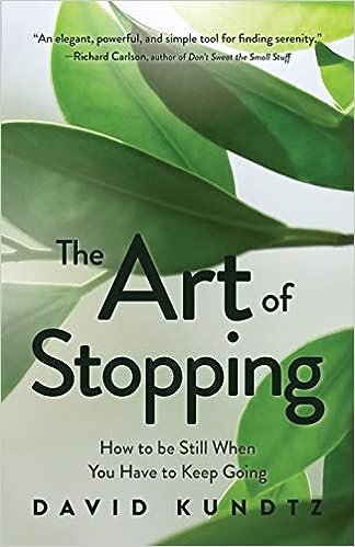 The Art of Stopping: How to Be Still When You Have to Keep Going - MPHOnline.com