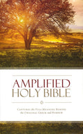 Amplified Holy Bible (9780310443872) - MPHOnline.com