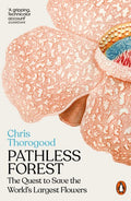 Pathless Forest - MPHOnline.com