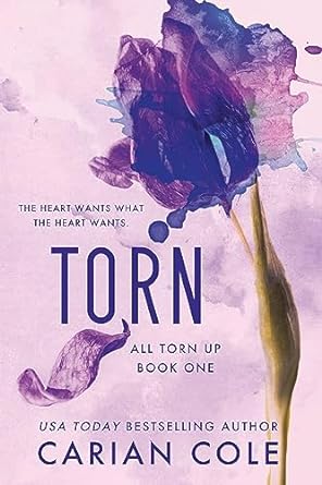 Torn (All Torn Up #1) - MPHOnline.com