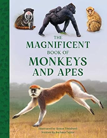 Magnificent Book Of Monkeys And Apes - MPHOnline.com