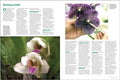 Miracle-Gro Complete Guide to Orchids: Grow Beautiful Flowers with Confidence and Ease (Miracle Gro) - MPHOnline.com