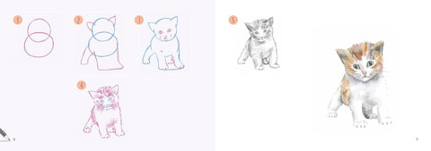 Draw 30: Animals: in easy steps - MPHOnline.com