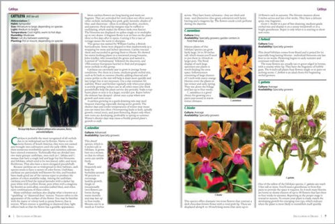 Miracle-Gro Complete Guide to Orchids: Grow Beautiful Flowers with Confidence and Ease (Miracle Gro) - MPHOnline.com