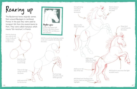 How To Draw Horses - MPHOnline.com