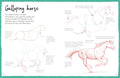 How To Draw Horses - MPHOnline.com