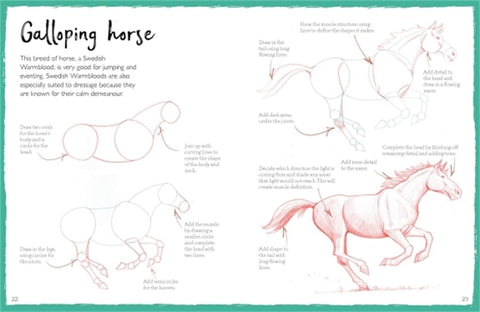 How To Draw Horses - MPHOnline.com