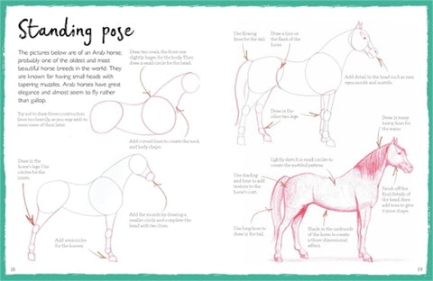 How To Draw Horses - MPHOnline.com