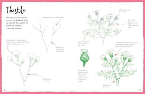 How To Draw Flowers & Plants - MPHOnline.com
