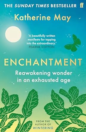 Enchantment: Reawakening Wonder in an Exhausted Age - MPHOnline.com