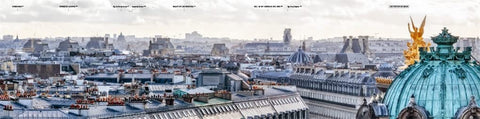 Rooftop Paris : A Panoramic View of the City of Light - MPHOnline.com