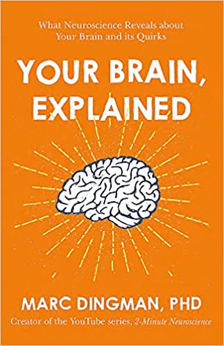 Your Brain, Explained - MPHOnline.com