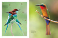 Tropical Birds - MPHOnline.com