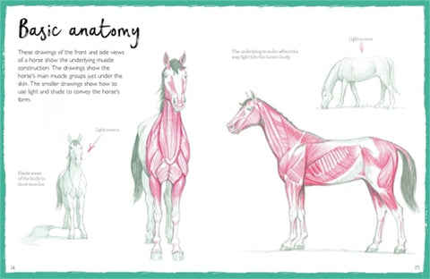 How To Draw Horses - MPHOnline.com