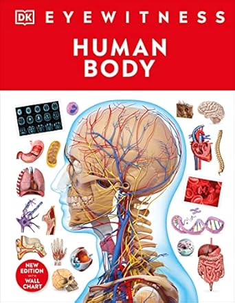 Eyewitness Human Body - MPHOnline.com