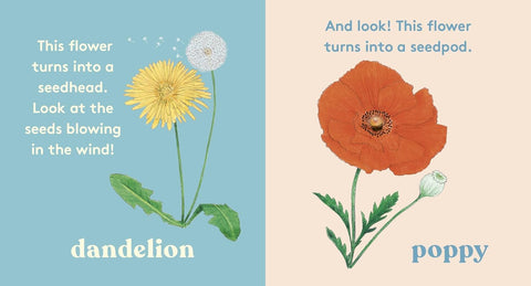 Look! A Flower! - MPHOnline.com