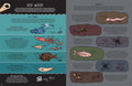 Meet the Invisibles: From Gravity and Gas to Bacteria and Bugs - MPHOnline.com