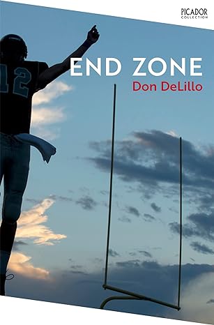 End Zone: Don Delillo (Picador Collection, 28) - MPHOnline.com