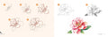 Draw 30: Flowers: in easy steps - MPHOnline.com