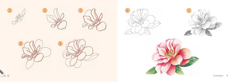 Draw 30: Flowers: in easy steps - MPHOnline.com