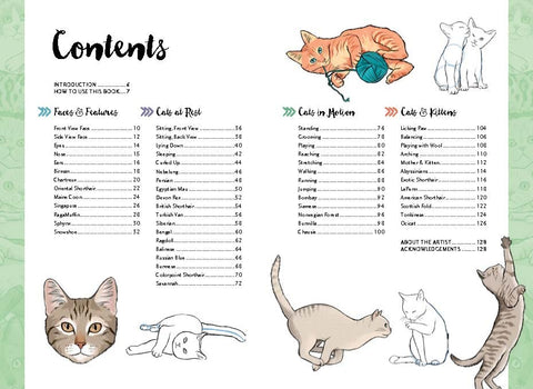 10 Step Drawing: Cats: Draw over 50 fabulous felines in 10 easy steps - MPHOnline.com