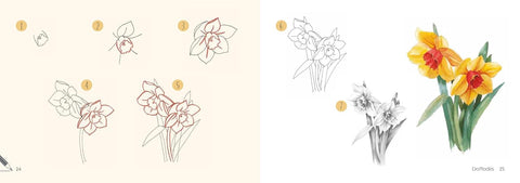 Draw 30: Flowers: in easy steps - MPHOnline.com