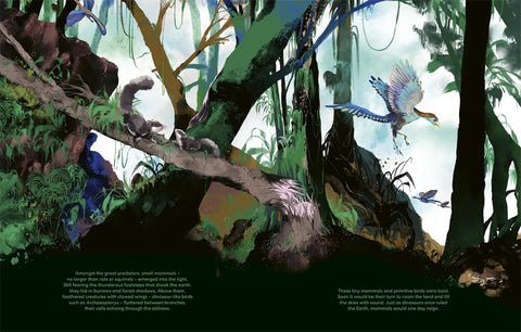 Once Upon a Planet (HC) - MPHOnline.com