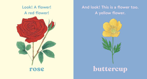 Look! A Flower! - MPHOnline.com
