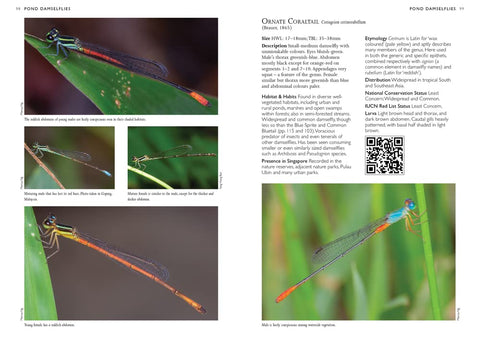 A Photographic Field Guide to the Dragonflies & Damselflies of Singapore - MPHOnline.com