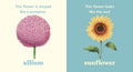 Look! A Flower! - MPHOnline.com