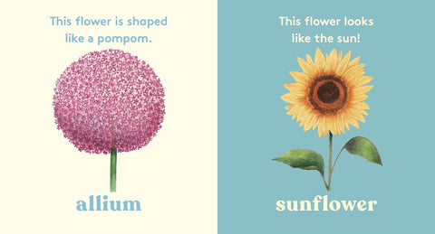 Look! A Flower! - MPHOnline.com