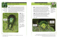 Identification Guide to Garden Insects of Britain and North-West Europe - MPHOnline.com