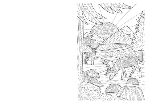 The Wellbeing Colouring Book: Calm - MPHOnline.com