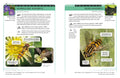 Identification Guide to Garden Insects of Britain and North-West Europe - MPHOnline.com