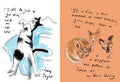 Puss in Books: Our best-loved writers on their best-loved cats - MPHOnline.com