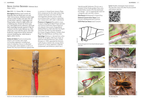 A Photographic Field Guide to the Dragonflies & Damselflies of Singapore - MPHOnline.com