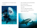PYR L4: TIME for Kids - Sharks - MPHOnline.com